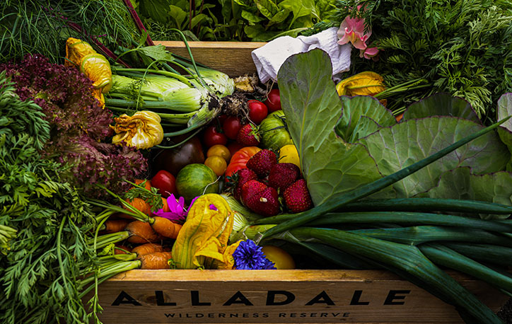 Wooden crate of fresh fruits and vegetables, home grown at Alladale.