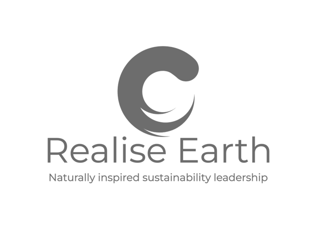 Realise Earth logo