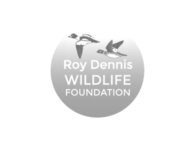 Roy Dennis Wildlife Foundation logo